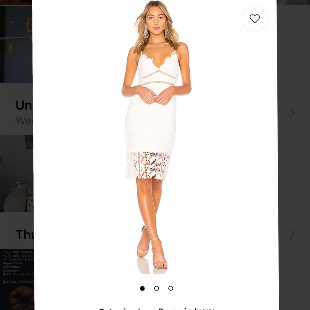Bardot Botanical Ivory Lace Dress